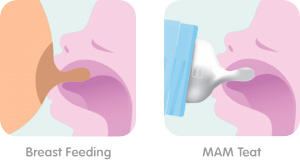 Breast Feeding | MAM Teat